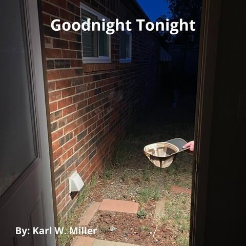 Goodnight Tonight