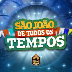 Pra Tirar Coco, Olha o Tamanho da Bichona
