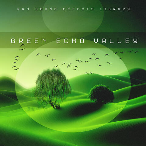 Green Echo Valley