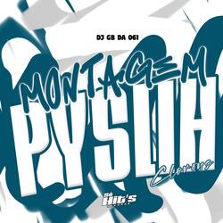 Montagem Pyslih Clorons