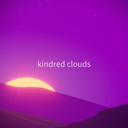 iridescent night