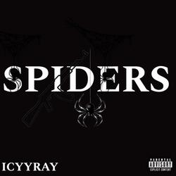 SPIDERS
