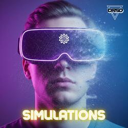 Simulations