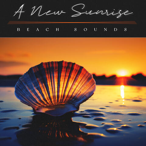 A New Sunrise