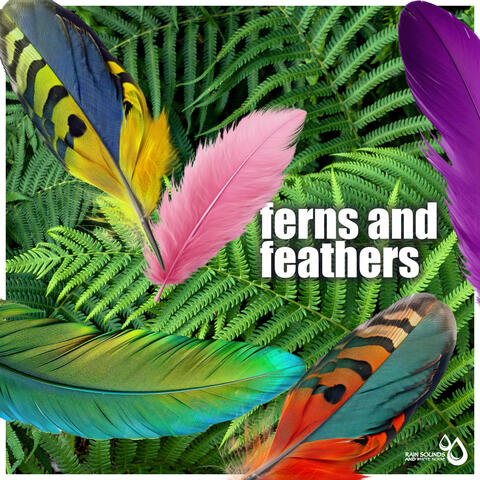 Ferns and Feathers