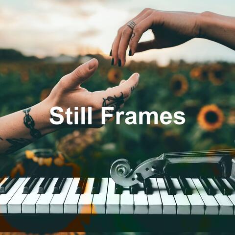 Still Frames