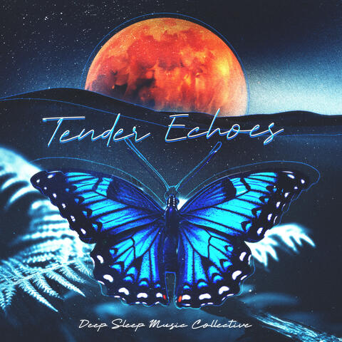 Tender Echoes
