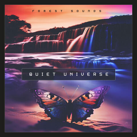 Quiet Universe