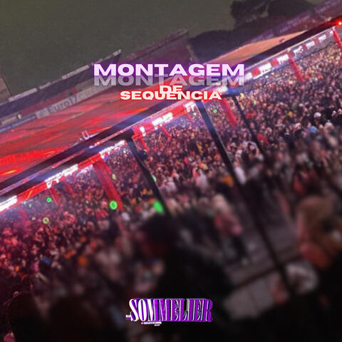 MONTAGEM DE SEQUENCIA