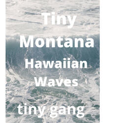 Hawaiian Waves