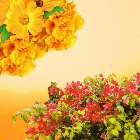 Summer