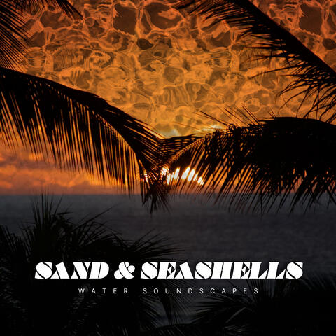 Sand & Seashells