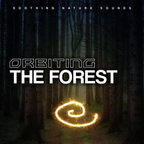 Orbiting the Forest