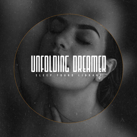 Unfolding Dreamer
