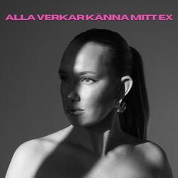 Alla verkar känna mitt ex