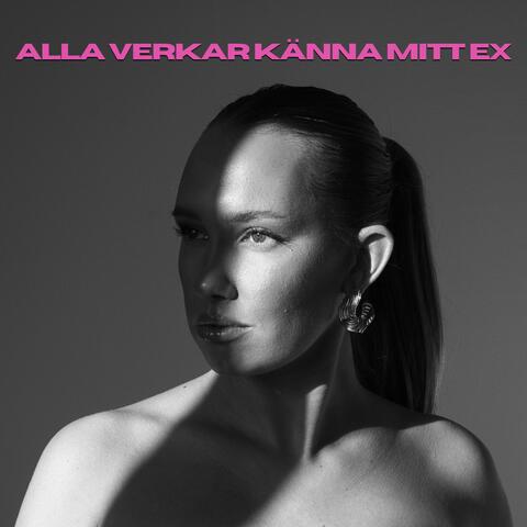 Alla verkar känna mitt ex