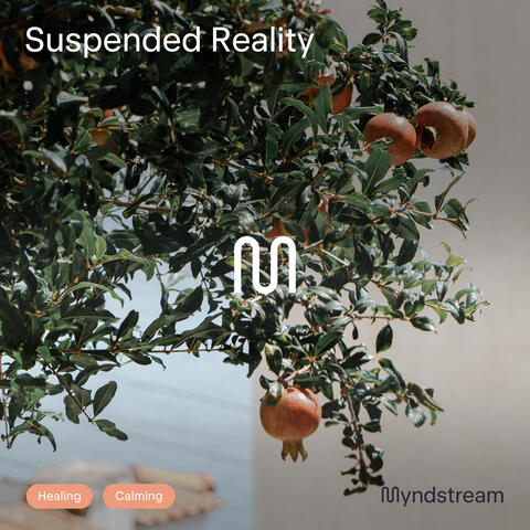 Suspended Reality