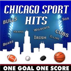 Go Cubs Go (Theme from ''We Believe'' The Movie)