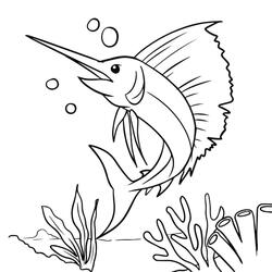 kesini mas