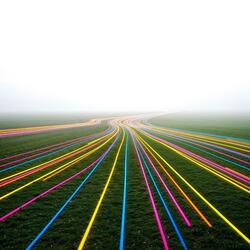 Neither fish nor fowl