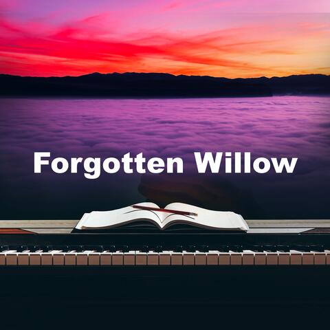 Forgotten Willow
