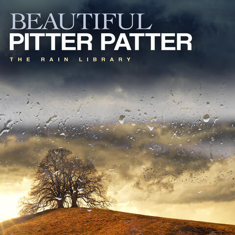 Beautiful Pitter Patter