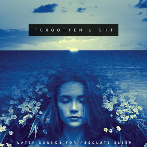 Forgotten Light