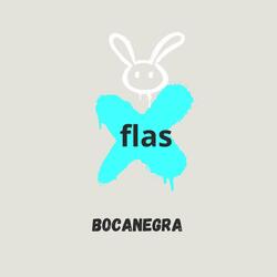 flas