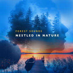Deep Forest Thunder and Rain