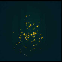 Fly Free FireFly