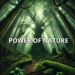 Power of Nature