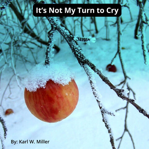 It's Not My Turn To Cry