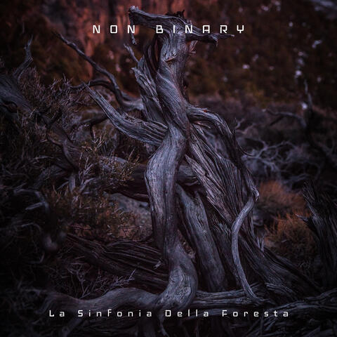 La Sinfonia Della Foresta