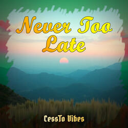 Never Too Late