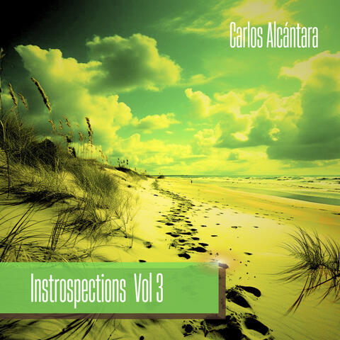Introspections Vol 3
