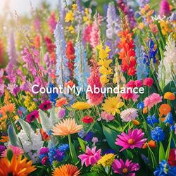 Count My Abundance
