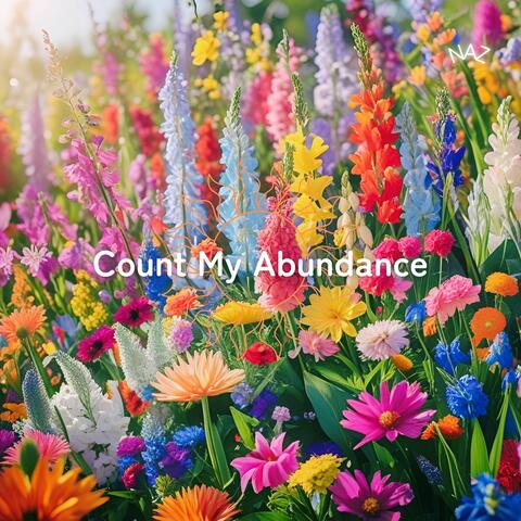 Count My Abundance