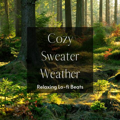 Cozy Sweater Weather: Relaxing Lo-fi Beats on a Forest Stroll