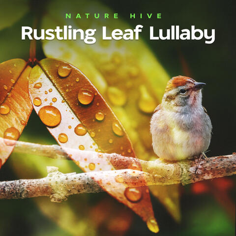 Rustling Leaf Lullaby