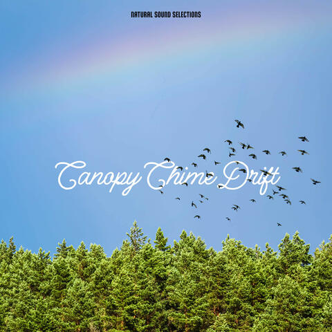 Canopy Chime Drift