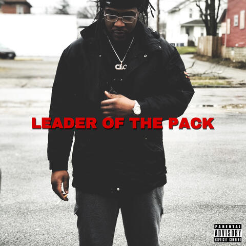 LEADER OF THE PACK