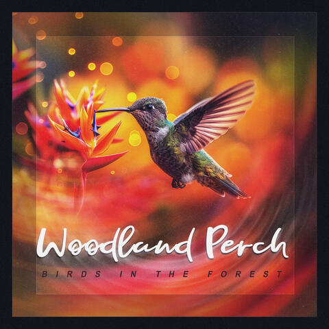 Woodland Perch