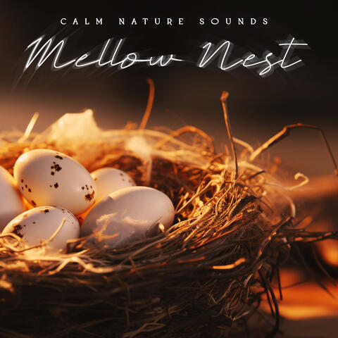 Mellow Nest