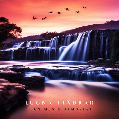 Lugna Fjädrar