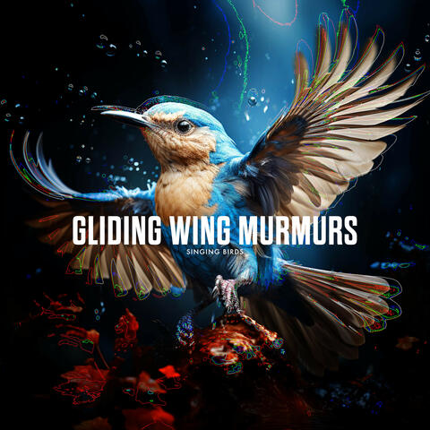 Gliding Wing Murmurs
