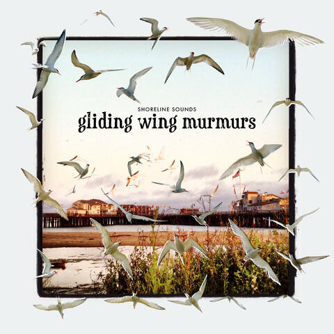 Gliding Wing Murmurs