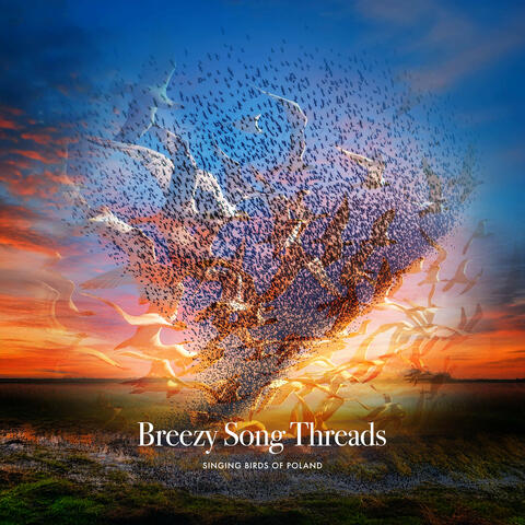 Breezy Song Threads