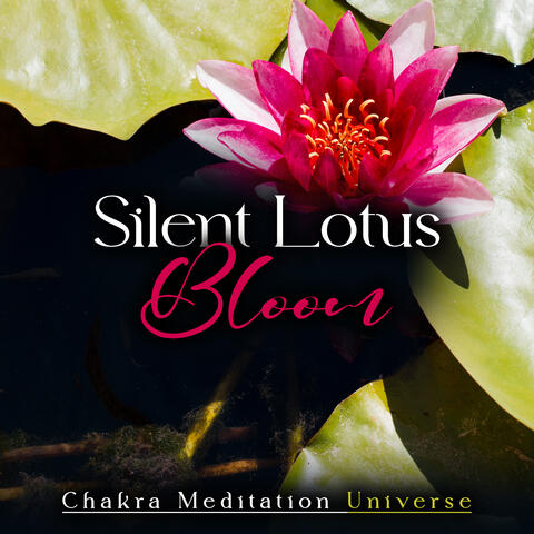 Silent Lotus Bloom