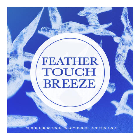 Feather Touch Breeze