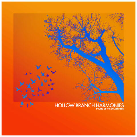 Hollow Branch Harmonies